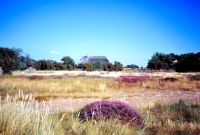 50 Insel Hiddensee